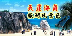 大鸡巴操搔逼海南三亚-天崖海角旅游风景区